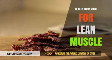 Beef Jerky for Lean Muscle: High-Protein Snack Benefits Explained