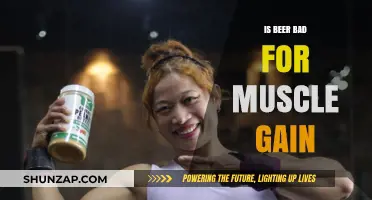 Beer and Muscle Gain: Debunking Myths for Fitness Enthusiasts