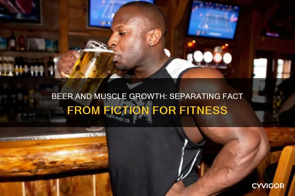 is beer good for muscle growth
