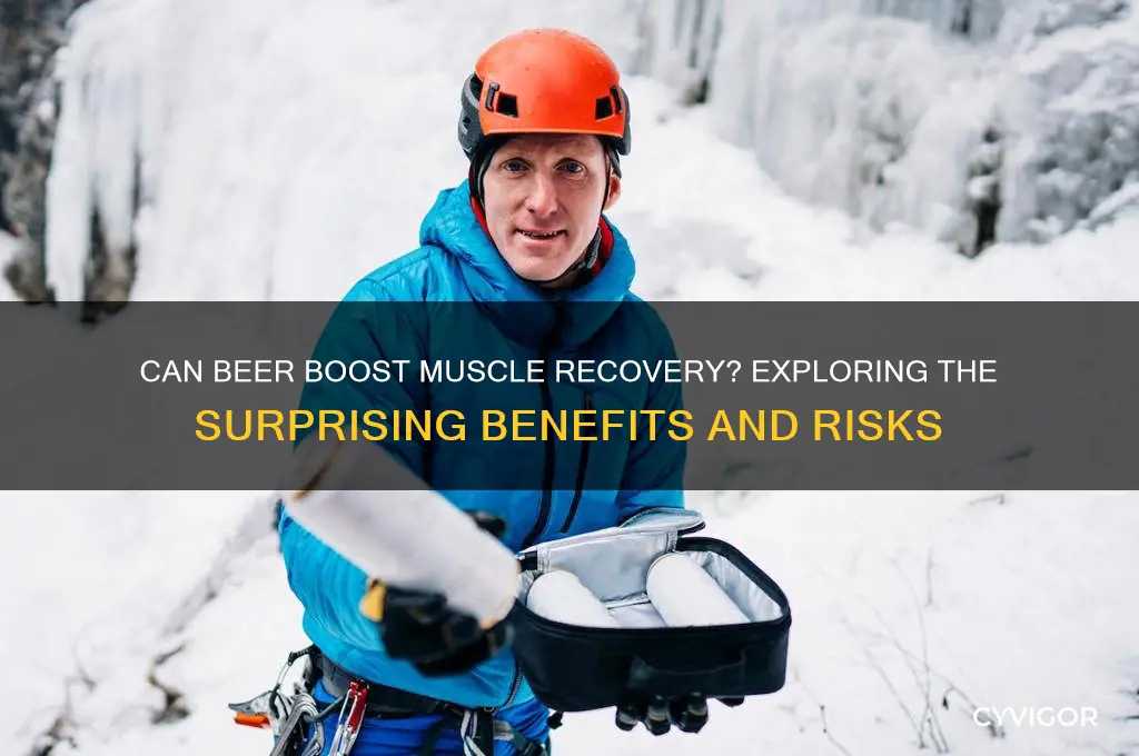 is beer good for muscles