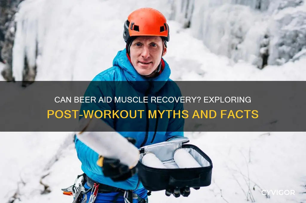 is beer good for sore muscles