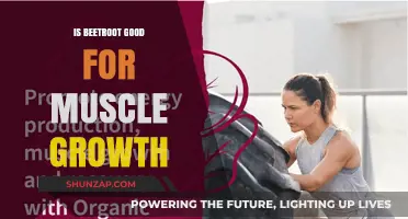 Beetroot and Muscle Growth: Unlocking the Power of Nitrates