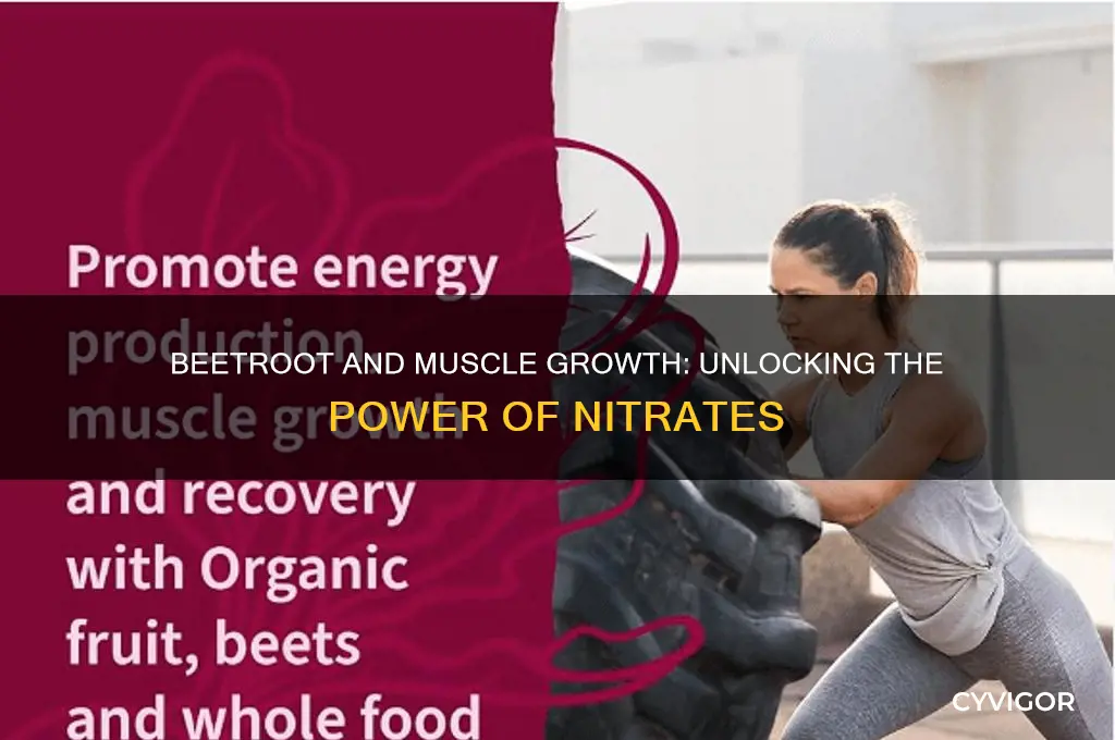 is beetroot good for muscle growth