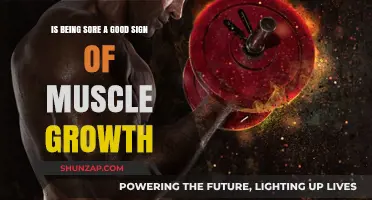 Is Muscle Soreness a Reliable Indicator of Muscle Growth?