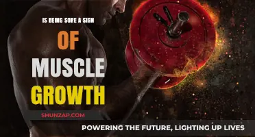 Is Muscle Soreness a Reliable Indicator of Muscle Growth?