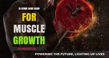 Is Muscle Soreness Essential for Effective Muscle Growth and Recovery?