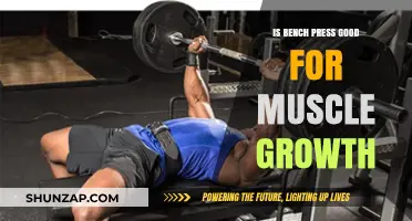 Bench Press Benefits: Effective for Muscle Growth or Overhyped?