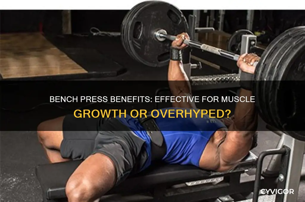 is bench press good for muscle growth