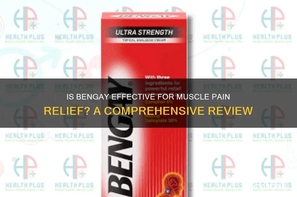 is bengay good for muscle pain