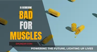 Berberine's Muscle Impact: Friend or Foe?