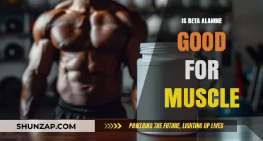 Beta Alanine Benefits: Enhancing Muscle Performance and Endurance Naturally