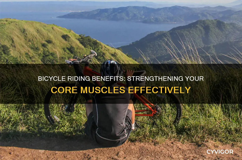 is bicycle riding good for core muscles