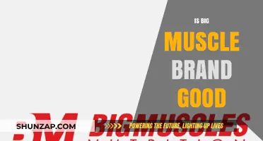 Is Big Muscle Brand Worth It? A Comprehensive Review and Analysis