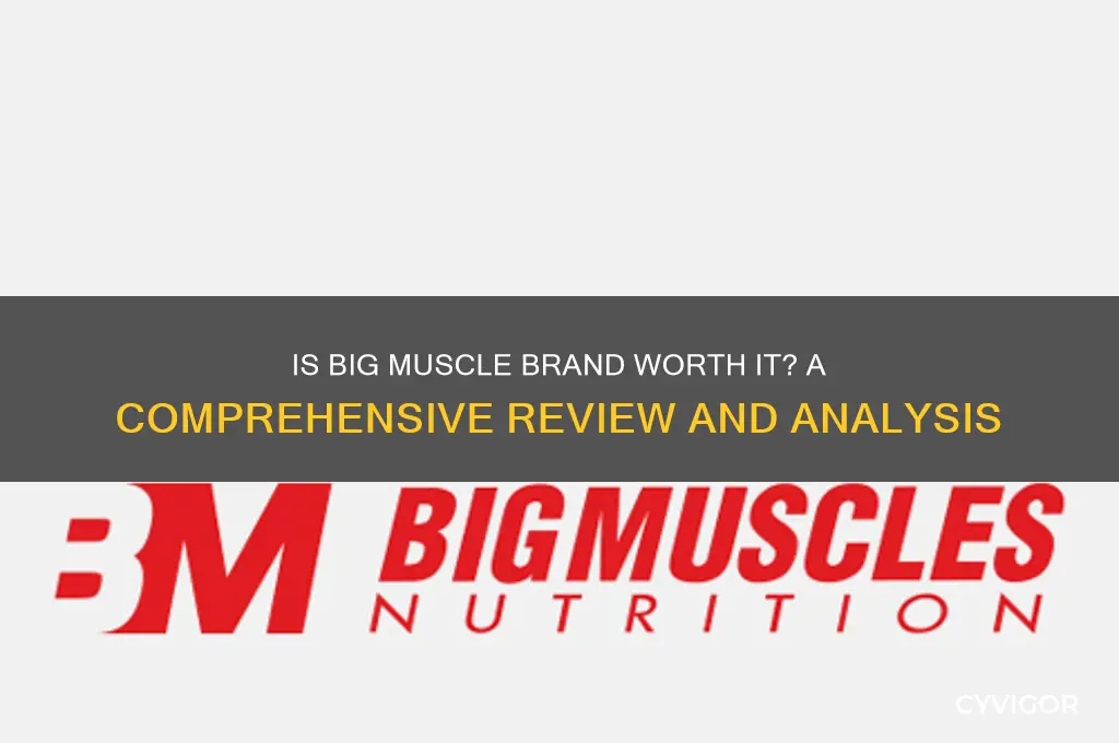 is big muscle brand good