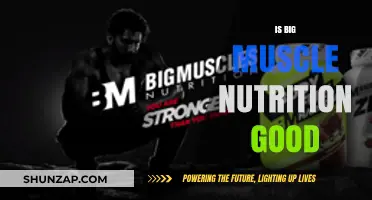 Is Big Muscle Nutrition Effective for Your Fitness Goals?