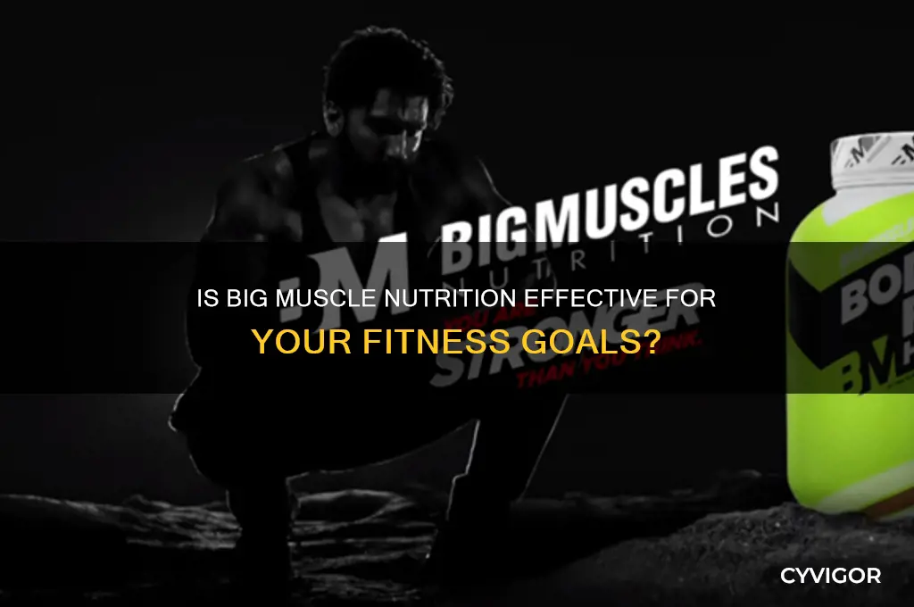 is big muscle nutrition good