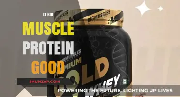 Is Big Muscle Protein Good? A Comprehensive Review and Analysis