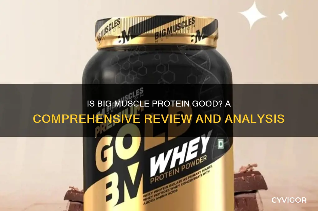 is big muscle protein good