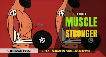 Muscle Size vs Strength: Is Bigger Better?