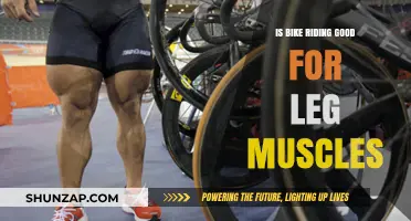 Pedal Power: How Bike Riding Strengthens Your Leg Muscles