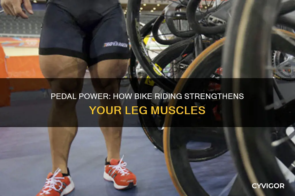 is bike riding good for leg muscles