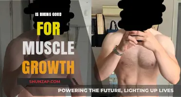 Biking for Muscle Growth: Benefits, Myths, and Effective Strategies