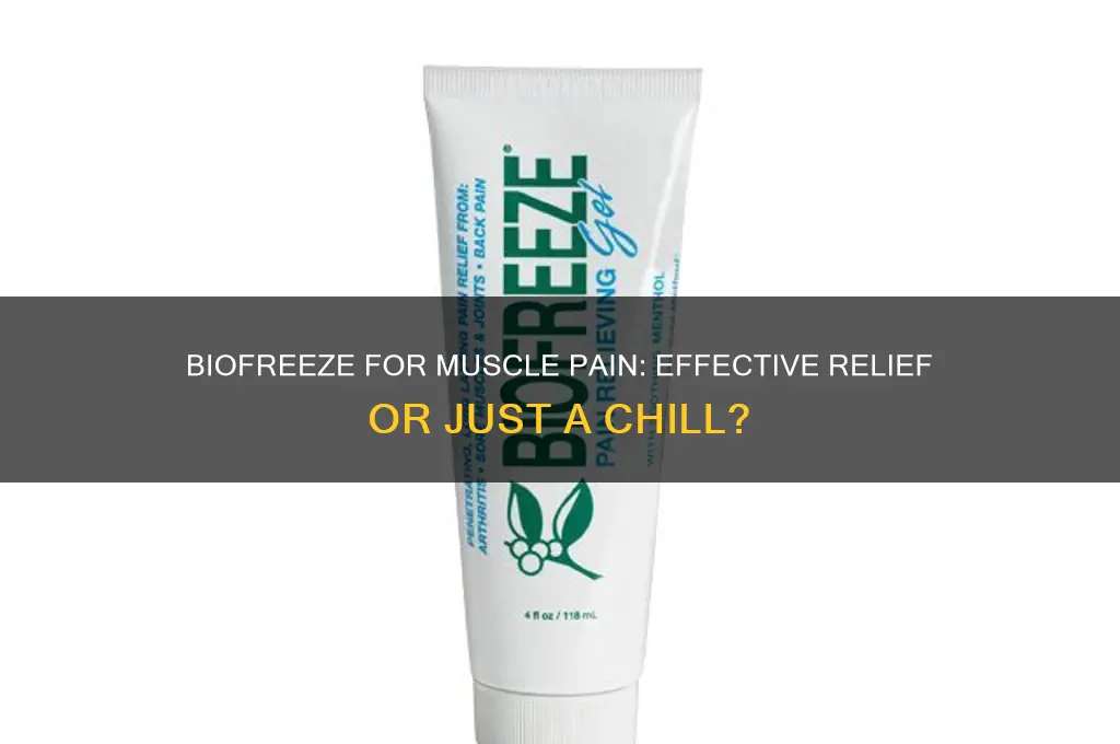 is biofreeze good for muscle pain
