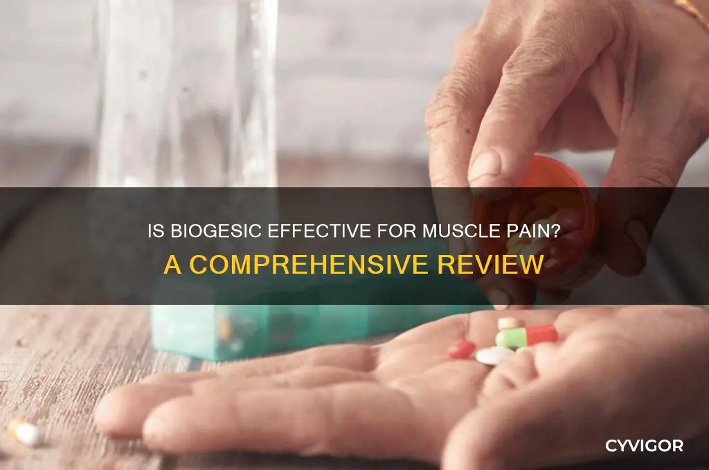 is biogesic good for muscle pain