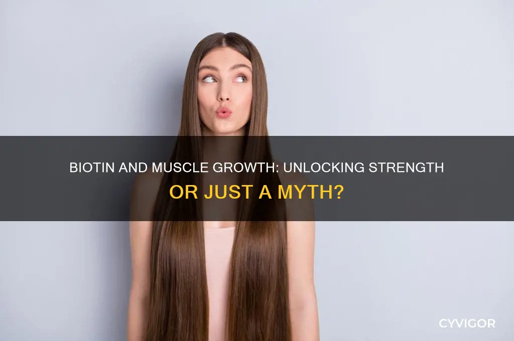 is biotin good for muscle growth