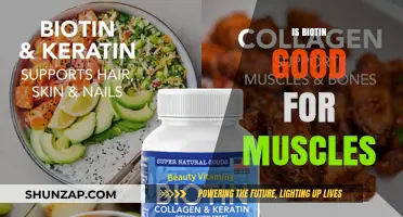 Biotin Benefits for Muscle Health: Fact or Fiction?