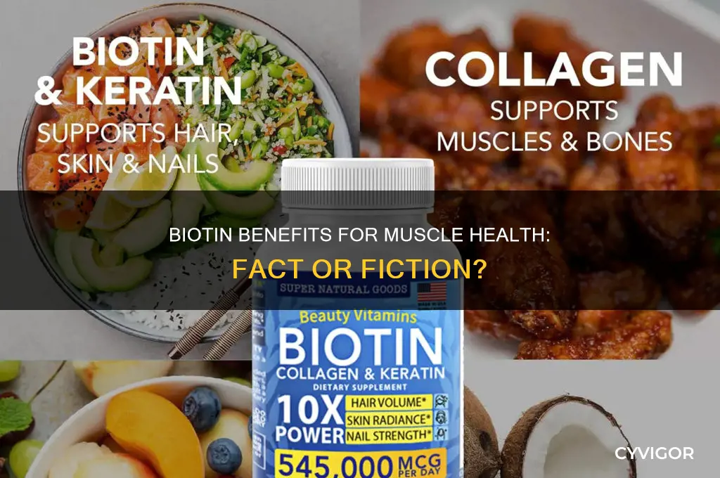 is biotin good for muscles