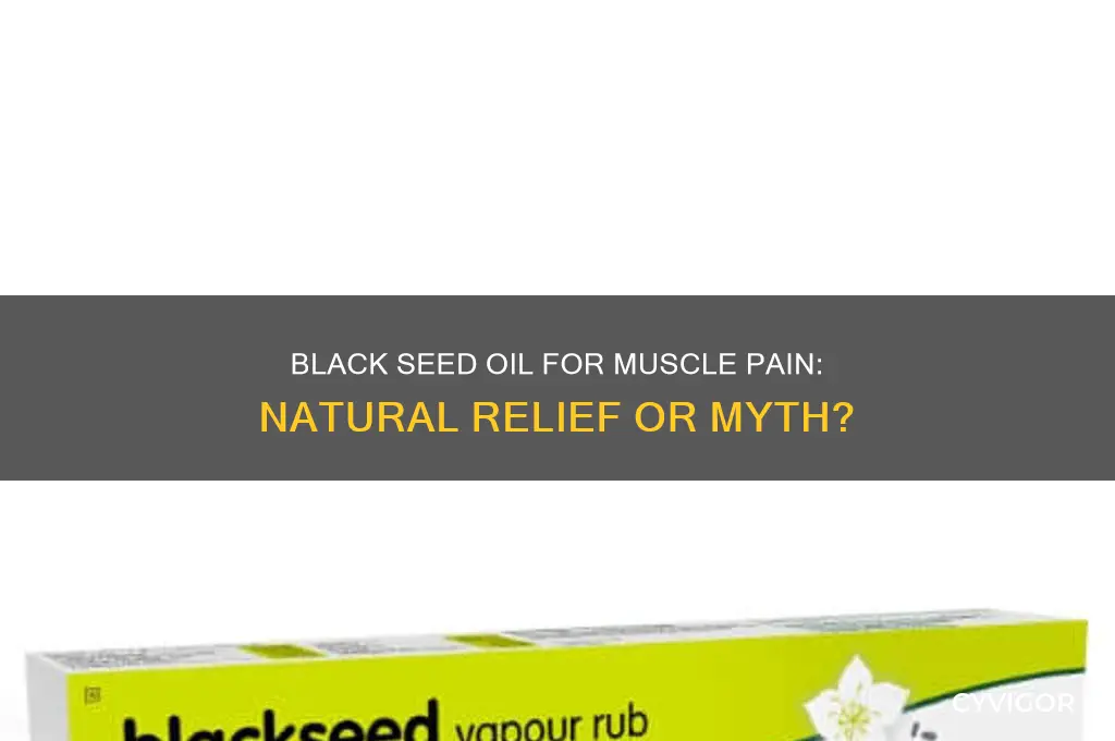 is black seed oil good for muscle pain