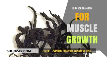 Black Tea Benefits: Boosting Muscle Growth and Recovery Naturally
