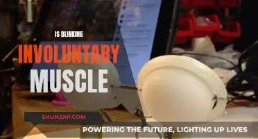 Blinking: Unconscious or Voluntary Action?