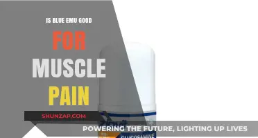Blue Emu for Muscle Pain: Effective Relief or Just Hype?