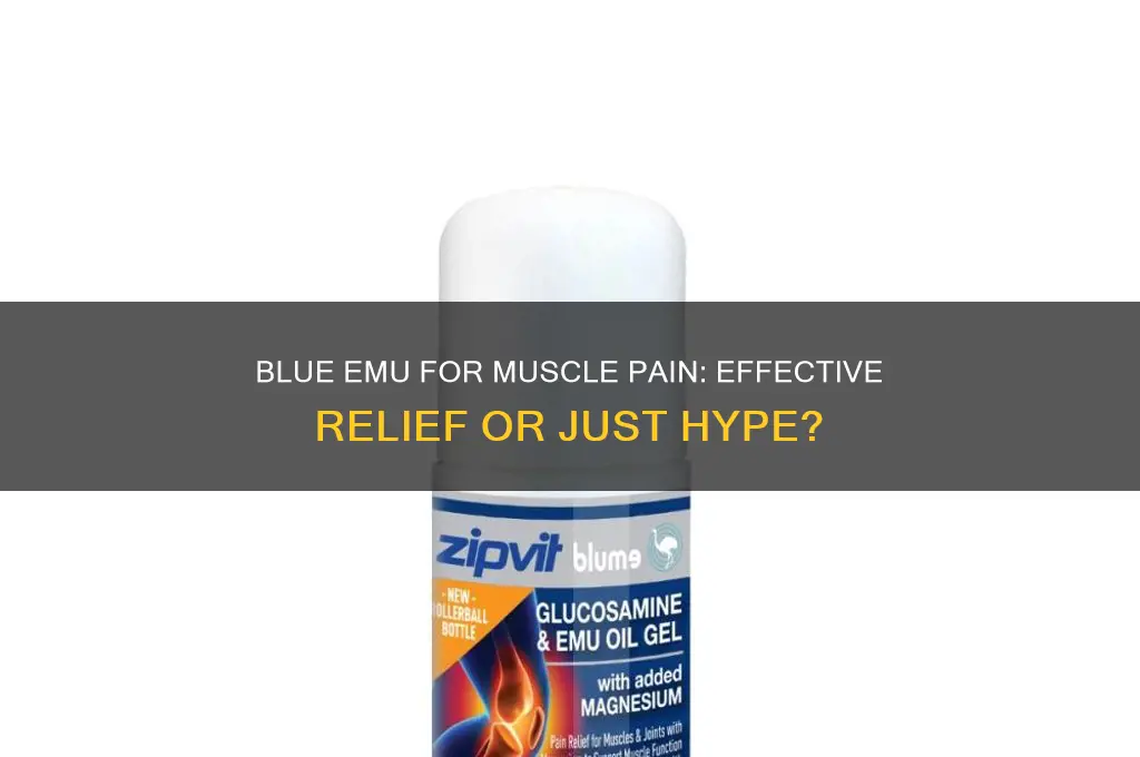 is blue emu good for muscle pain