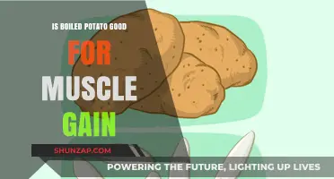 Boiled Potatoes for Muscle Gain: Nutrition Benefits and Tips