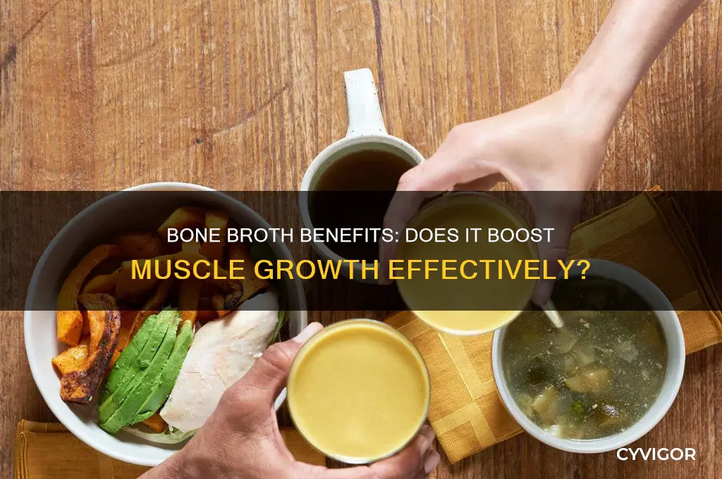 is bone broth good for muscle growth