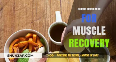 Bone Broth Benefits: Enhancing Muscle Recovery After Intense Workouts