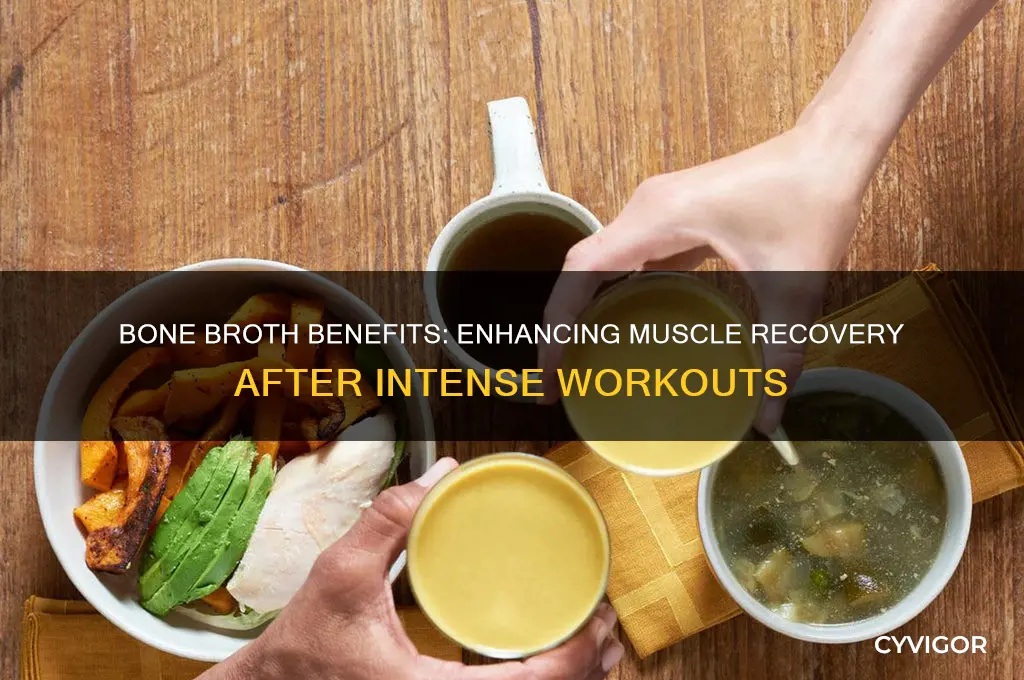 is bone broth good for muscle recovery