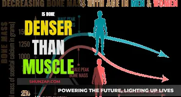 Bone vs Muscle: What's Denser?