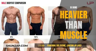 Bone vs Muscle: What's Heavier?