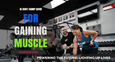 Is Boot Camp Effective for Muscle Gain? A Comprehensive Analysis