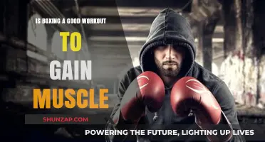 Boxing Workouts: Effective for Muscle Gain or Just Cardio?