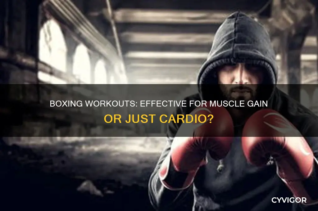 is boxing a good workout to gain muscle