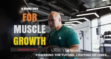 Boxing for Muscle Growth: Effective Workout or Just Cardio?
