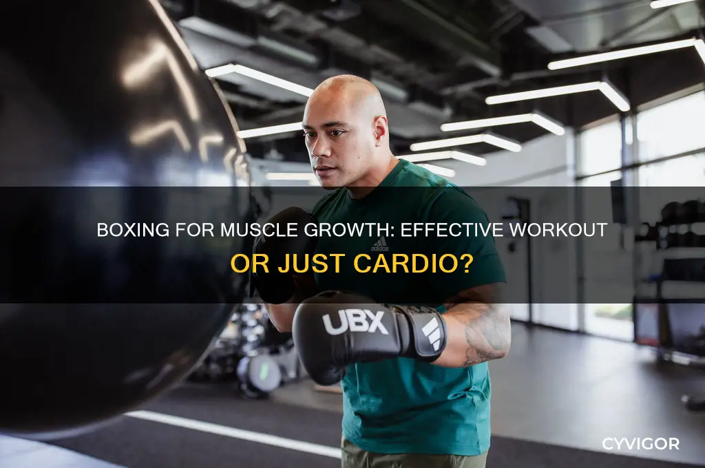 is boxing good for muscle growth