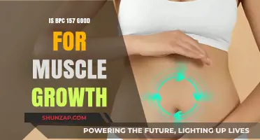 BPC 157 Muscle Growth Benefits: Fact or Fiction?