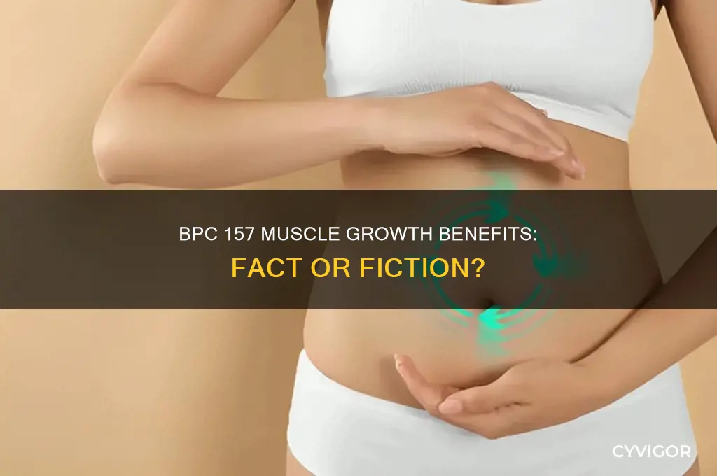 is bpc 157 good for muscle growth