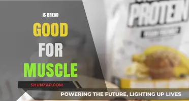 Is Bread a Muscle-Friendly Food? Nutrition Facts and Benefits